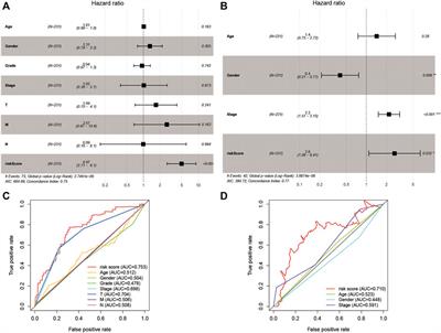 Identification of a Pyroptosis-Related Prognostic Signature Combined With Experiments in Hepatocellular Carcinoma